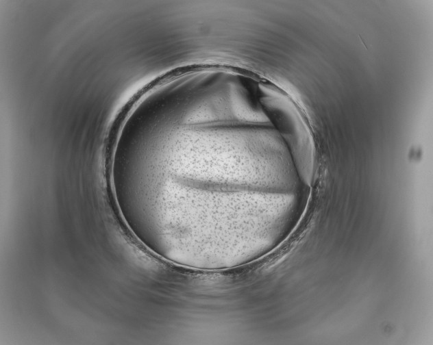 X0000090871120200708101328