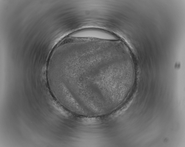 X0000090871121200708101328