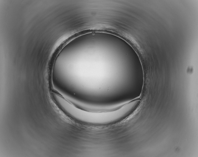 X0000090871122200708101328