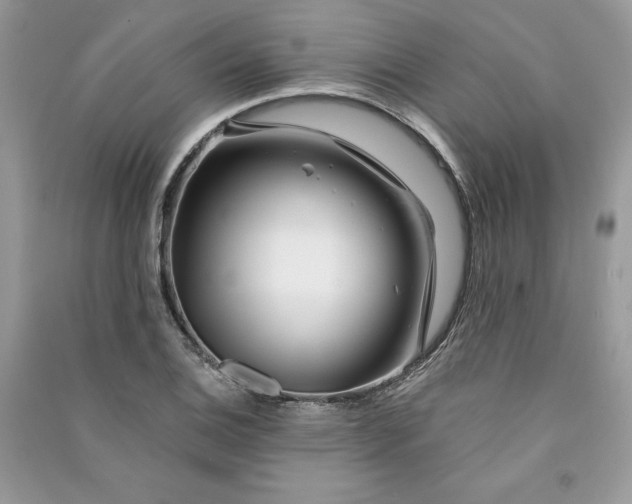 X0000090871124200708101328