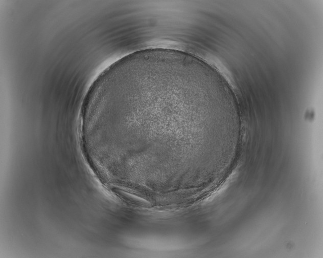 X0000090871125200708101328