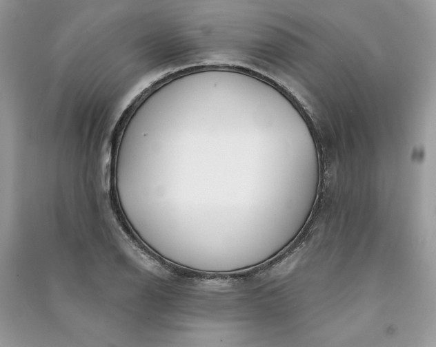 X0000090871126200708101328