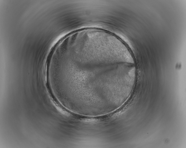 X0000090871127200708101328