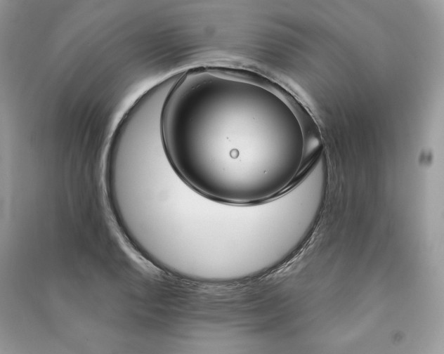 X0000090871128200708101328