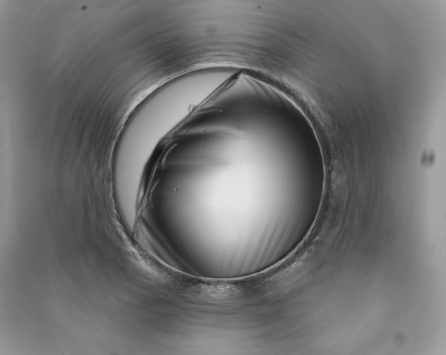 X0000090871129200708101328