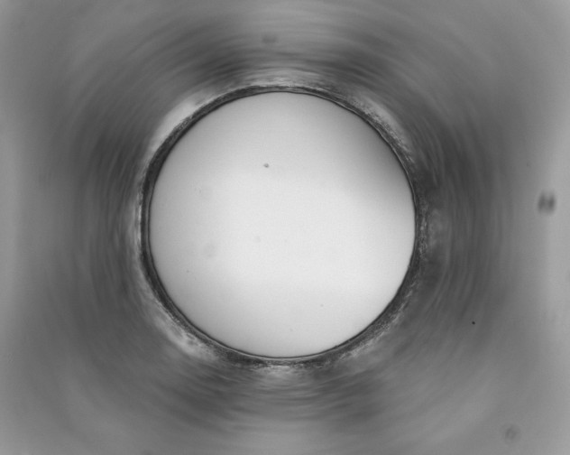 X0000090871130200708101328