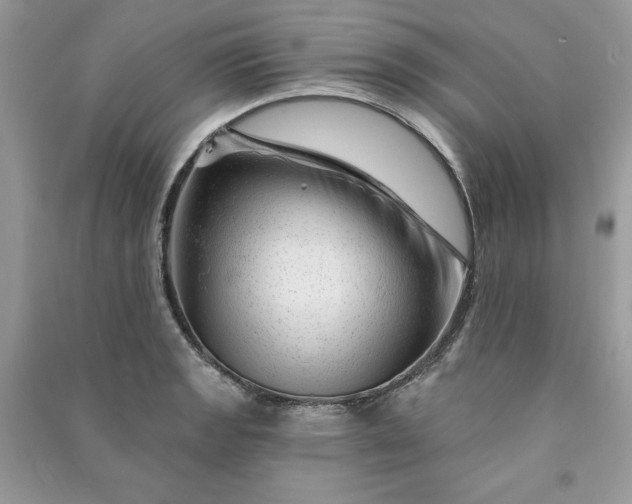 X0000090871133200708101328