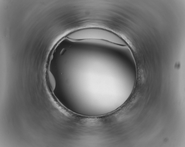 X0000090871134200708101328