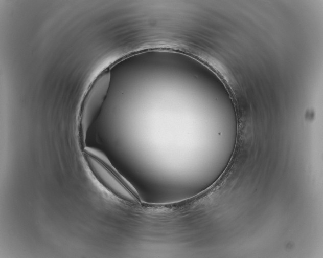 X0000090871135200708101328