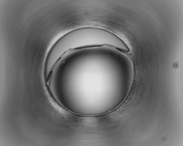 X0000090871136200708101328