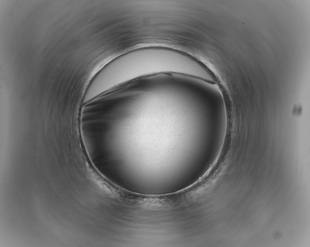 X0000090871137200708101328