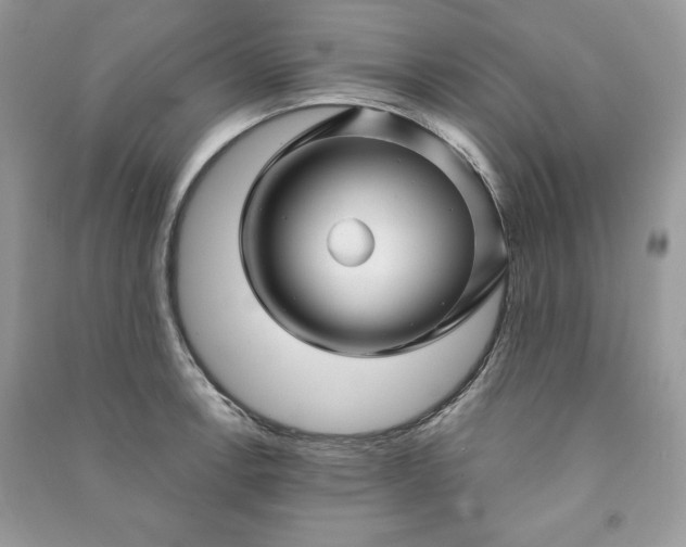 X0000090871138200708101328