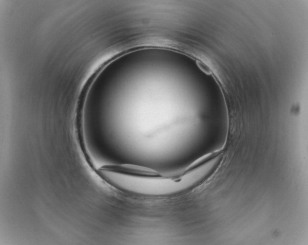 X0000090871139200708101328