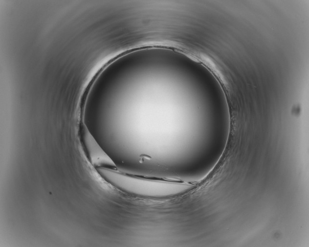 X0000090871140200708101328