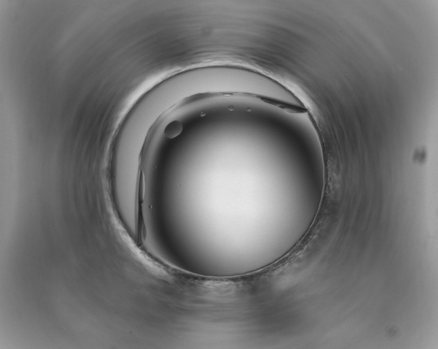 X0000090871142200708101328