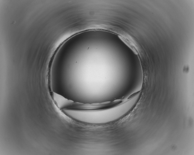 X0000090871143200708101328