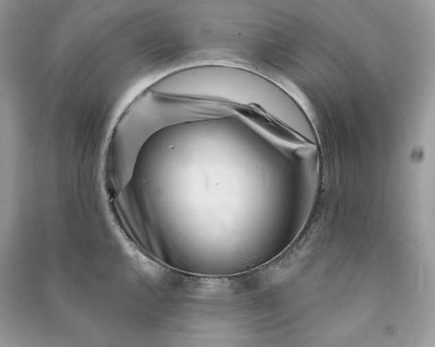 X0000090871144200708101328