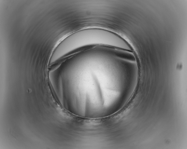 X0000090871145200708101328