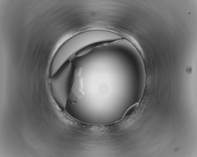 X0000090871146200708101328