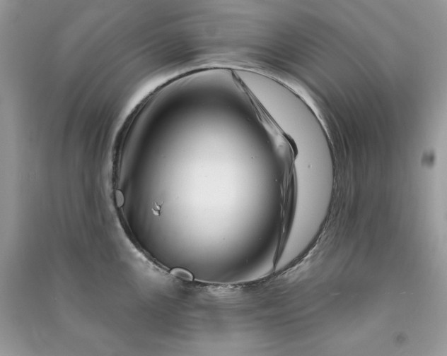 X0000090871147200708101328