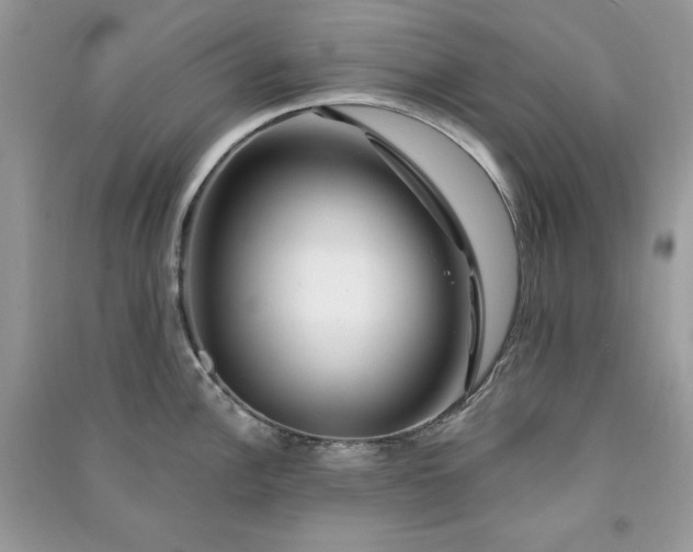 X0000090871148200708101328