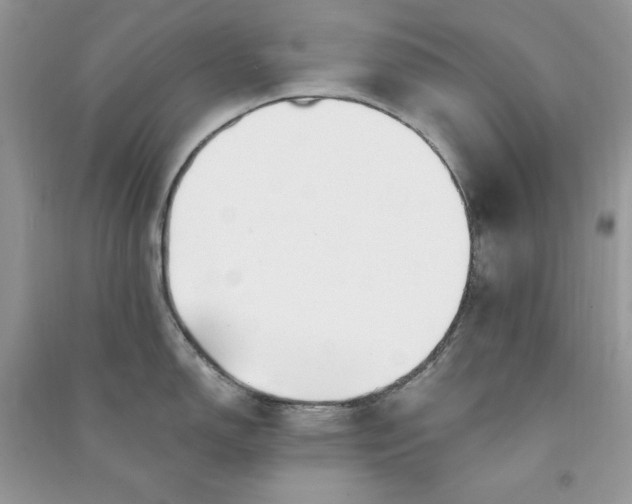 X0000090871150200708101328