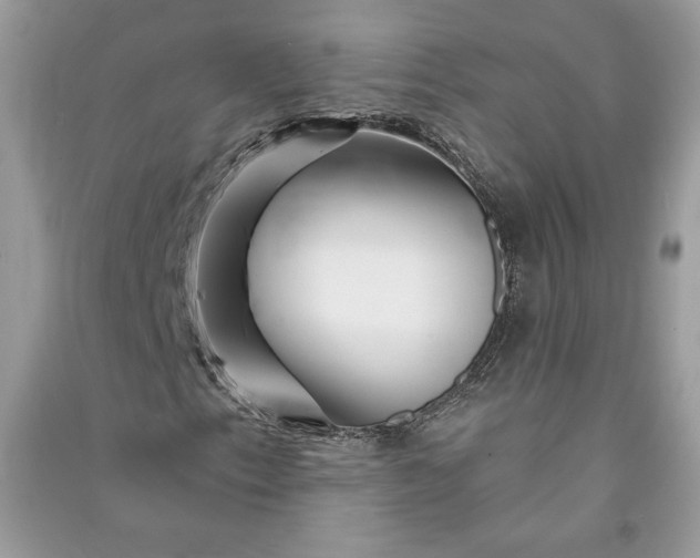 X0000090871153200708101328