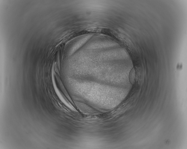 X0000090871154200708101328