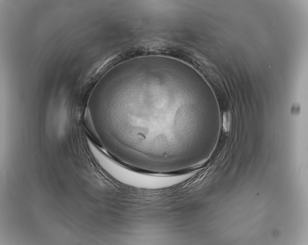 X0000090871155200708101327