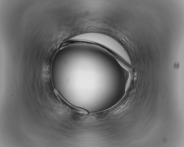 X0000090871156200708101327