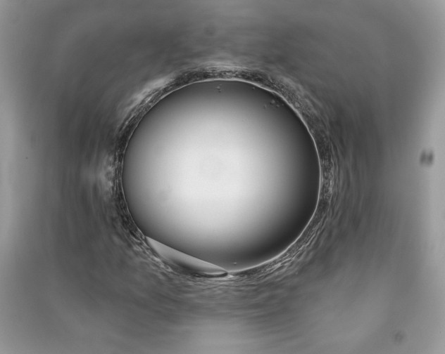 X0000090871157200708101327