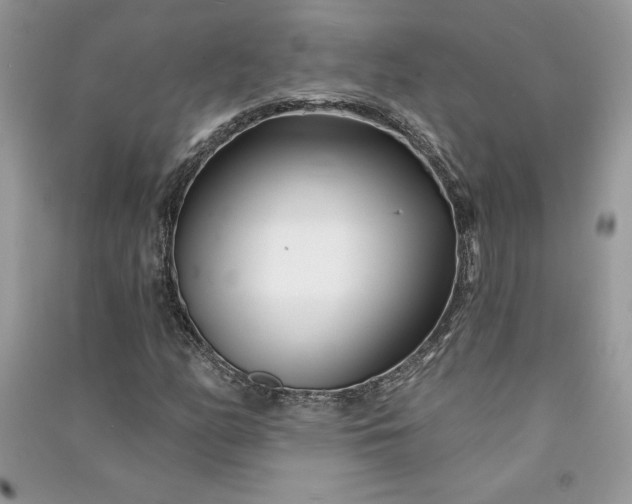 X0000090871158200708101327