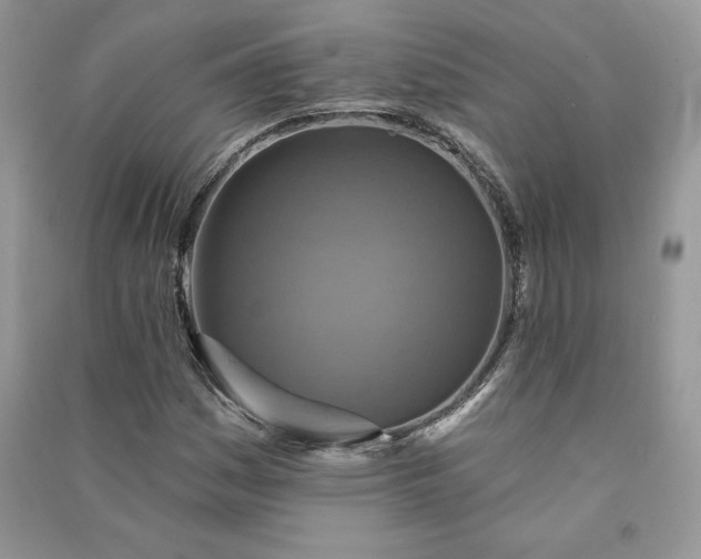 X0000090871161200708101327