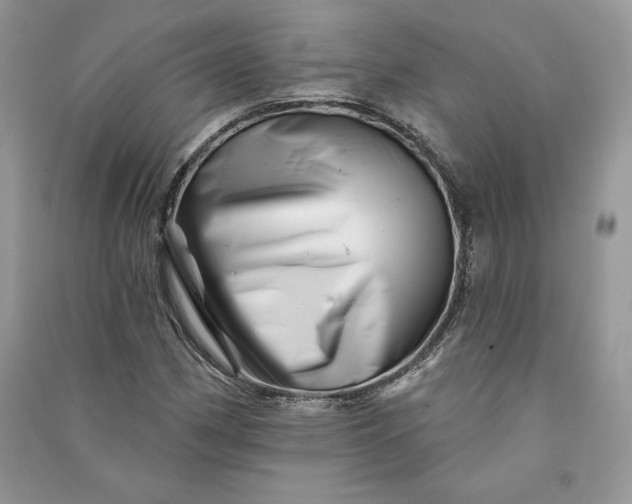 X0000090871162200708101327