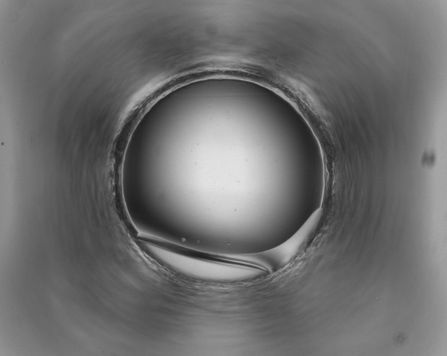 X0000090871164200708101327