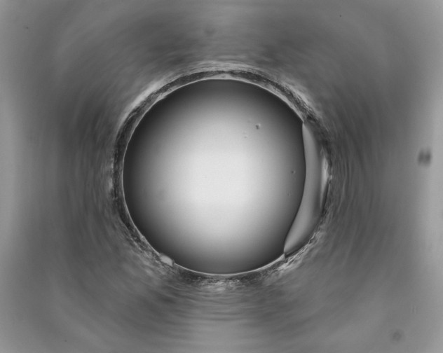 X0000090871165200708101327