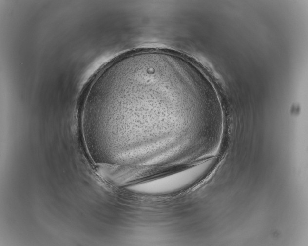 X0000090871167200708101327