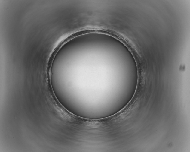 X0000090871168200708101327