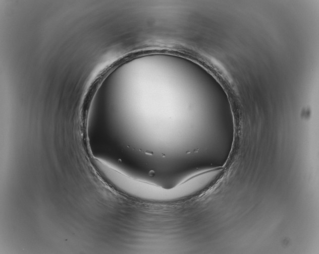 X0000090871172200708101327