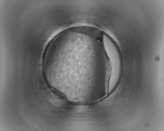 X0000090871173200708101327