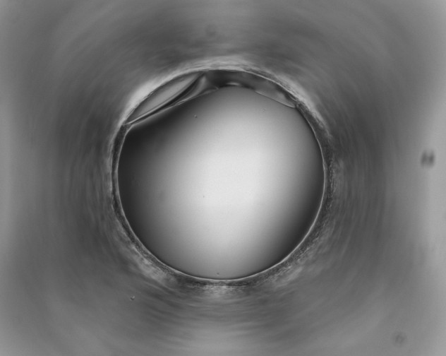 X0000090871176200708101327