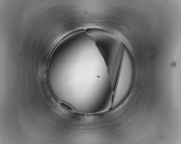 X0000090871177200708101327