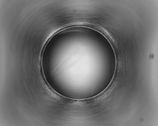 X0000090871178200708101327