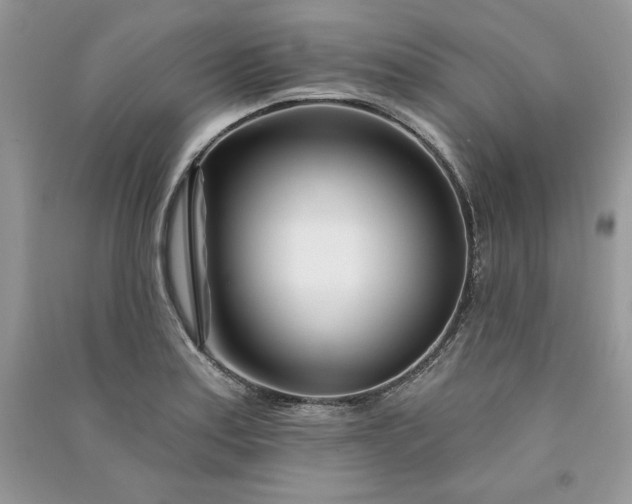 X0000090871179200708101327