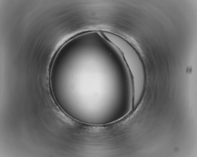 X0000090871184200708101327