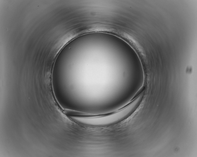 X0000090871185200708101327