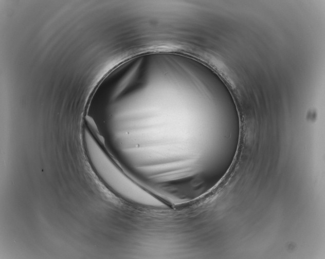 X0000090871186200708101327