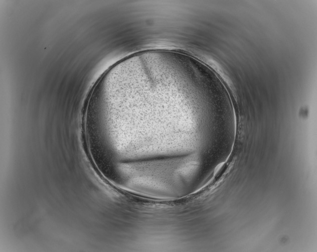 X0000090871187200708101327