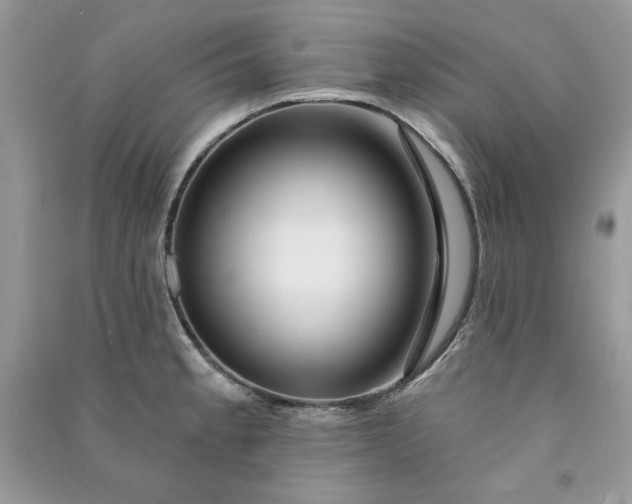 X0000090871189200708101327