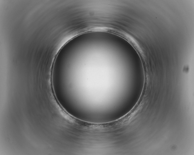 X0000090871194200708101327